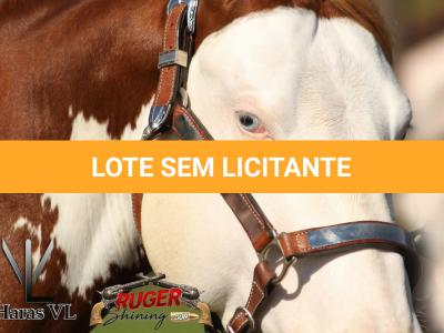 LOTE 024 - RUGER SHINING GUN