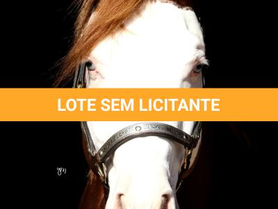 LOTE -200 - SMART CHIC DUNIT (Coberturas)