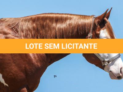 LOTE -200 - SMART CHIC DUNIT (Coberturas)