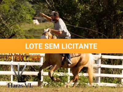 LOTE 021 - DEREK COUNTRY GUN