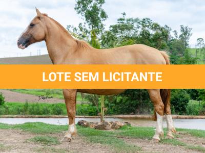 LOTE 004 - CABOCLA DA RENASCENÇA (2x1)