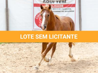 LOTE 018 - FANTASMA ESM DA PPMP