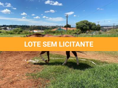 LOTE 005 - SANJOS MEDADAS ME
