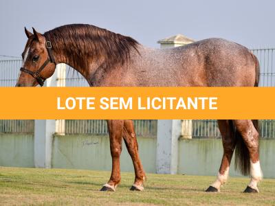 LOTE 015 - JACK DUAL KEYS RM