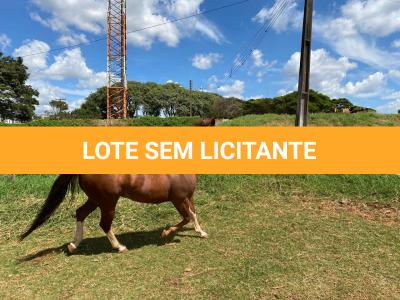 LOTE 005 - SANJOS MEDADAS ME