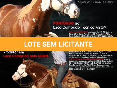 LOTE 024 - RUGER SHINING GUN