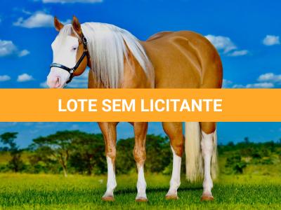 LOTE -200 - COLORADO TRUCK - Coberturas