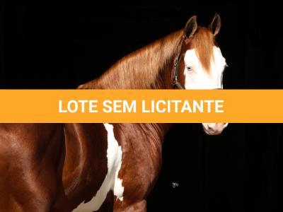 LOTE -200 - SMART CHIC DUNIT (Coberturas)