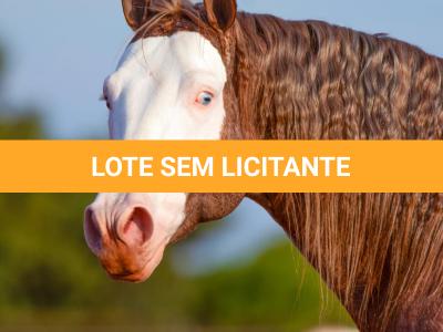 LOTE 025 - PUSS IN BOOTS TLM