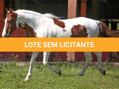 LOTE 017 - LEASE CANNONAZE RS - TE