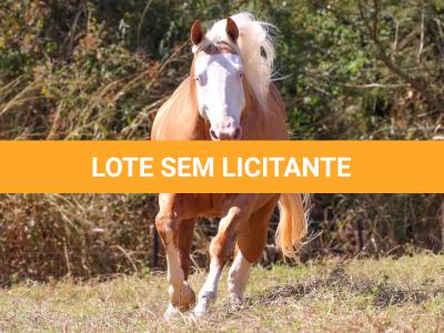 LOTE -200 - COLORADO TRUCK - Coberturas