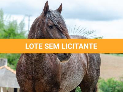 LOTE -100 - CAMPONES ESM DA PPMP (Coberturas)