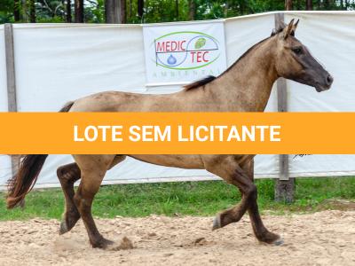 LOTE 011 - ATREVIDO ESM DA PPMP