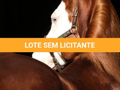 LOTE -200 - SMART CHIC DUNIT (Coberturas)