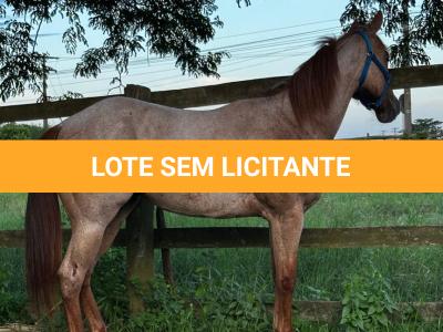 LOTE 009 - PRINCESS JAY KEYS