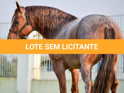 LOTE 015 - JACK DUAL KEYS RM