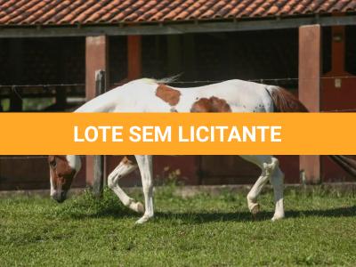 LOTE 017 - LEASE CANNONAZE RS - TE