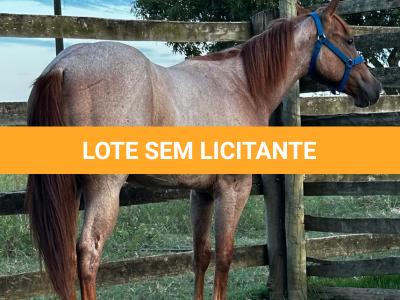 LOTE 009 - PRINCESS JAY KEYS