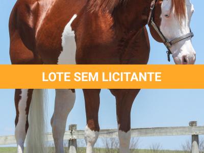 LOTE -200 - SMART CHIC DUNIT (Coberturas)