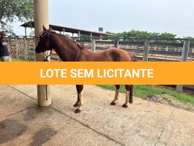 LOTE 005 - SANJOS MEDADAS ME