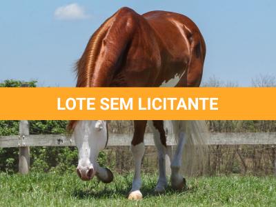 LOTE -200 - SMART CHIC DUNIT (Coberturas)