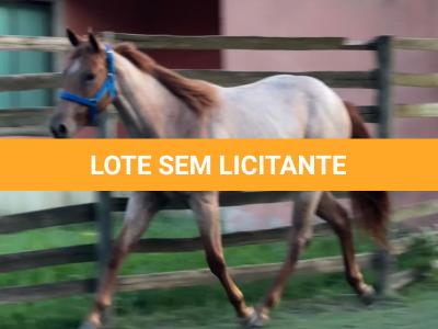 LOTE 009 - PRINCESS JAY KEYS
