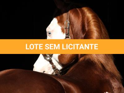 LOTE -200 - SMART CHIC DUNIT (Coberturas)