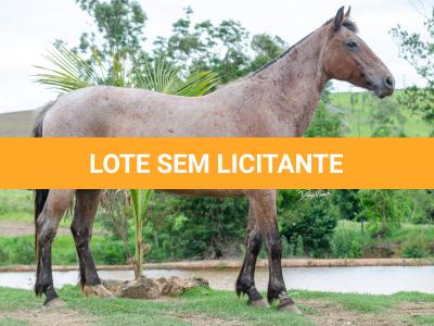 LOTE 003 - RAMON 118 OREADA (2x1)