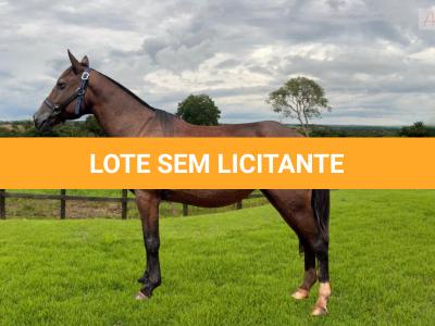 LOTE 010 - JADE
