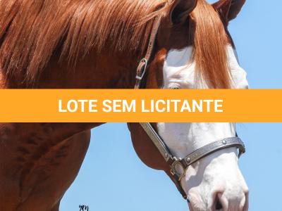 LOTE -200 - SMART CHIC DUNIT (Coberturas)