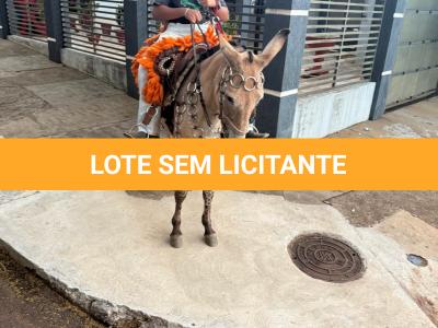 LOTE 011 - SINCERA BP