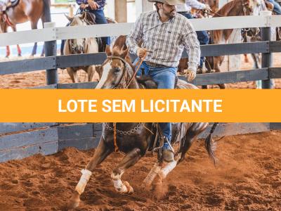 LOTE 005 - SANJOS MEDADAS ME