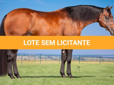 LOTE -100 - TAPOCRAT - Coberturas
