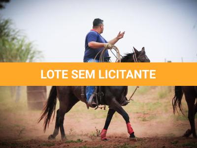 LOTE 004 - LENA FIRE SAND JVM