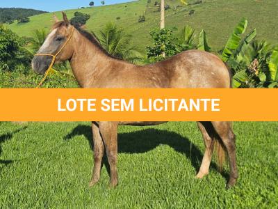 LOTE 012 - METALLICA PEPTO NC