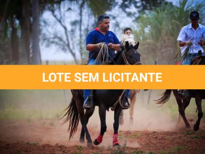 LOTE 004 - LENA FIRE SAND JVM