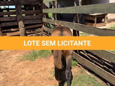 LOTE 013 - STONE SHINERS GUN