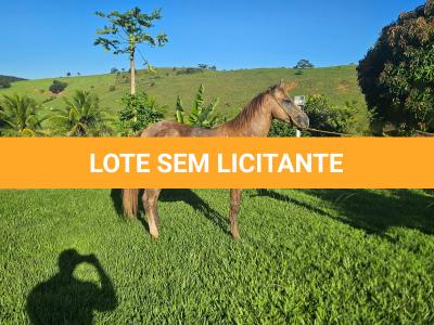 LOTE 012 - METALLICA PEPTO NC