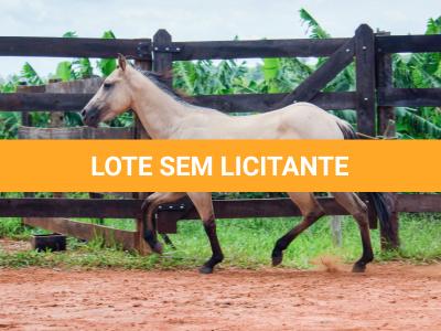 LOTE 011 - BOB DUN’IT MIME