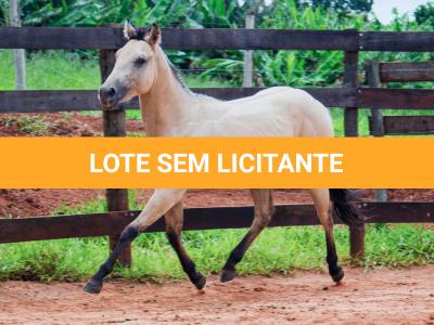 LOTE 011 - BOB DUN’IT MIME