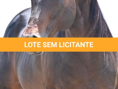 LOTE -100 - GRANITE LAKE MERRY (Venda de Cobertura)