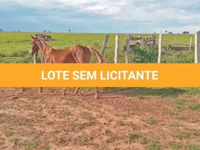 LOTE 008 - SILVER F STONES