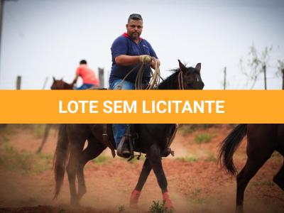 LOTE 004 - LENA FIRE SAND JVM