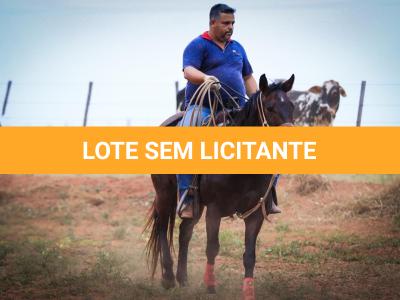LOTE 004 - LENA FIRE SAND JVM