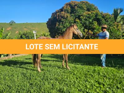 LOTE 012 - METALLICA PEPTO NC