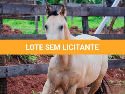 LOTE 011 - BOB DUN’IT MIME