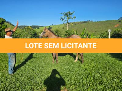 LOTE 012 - METALLICA PEPTO NC