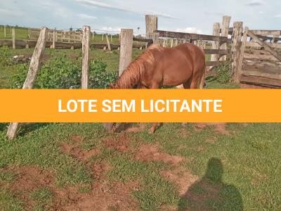 LOTE 008 - SILVER F STONES