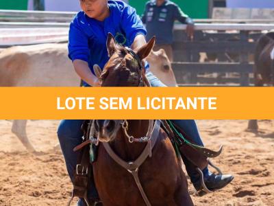 LOTE 004 - CRACKIN FOR YOU (3x1)