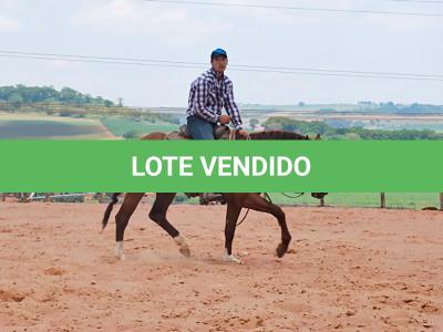 LOTE 018 - PEPTO SILVER